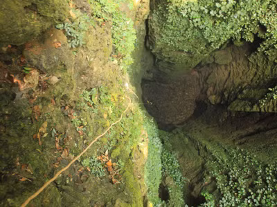 Một trong những hang động thẳng đứng vừa được phát hiện tại Phong Nha - Kẻ Bàng