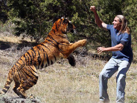 'Võ Tòng đả hổ' kiểu Mỹ