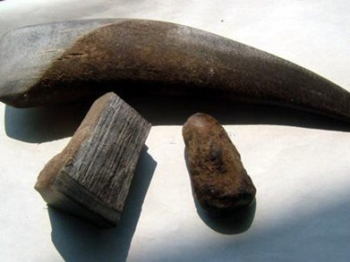 Sừng tê giác: Alô là có!