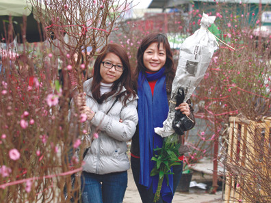 Tết, Tết, Tết!