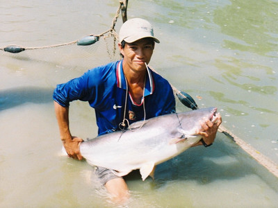 Khủng hoảng tôm, cá tra ở ĐBSCL