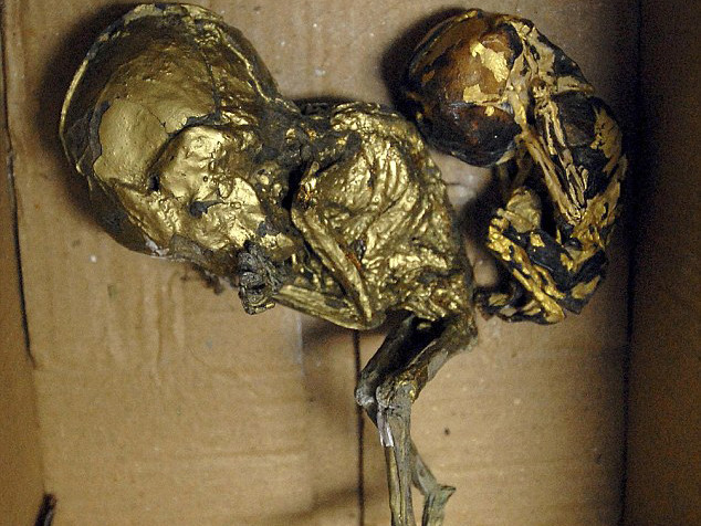 Rùng rợn thai nhi bị sấy khô, dát vàng