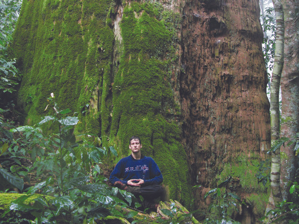 'Địa đàng xanh' chảy máu