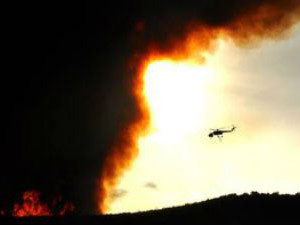 Hiện trường vụ cháy rừng