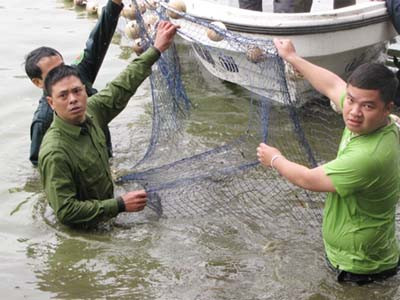 Có thể một tuần nữa mới bắt lại Rùa Hoàn Kiếm