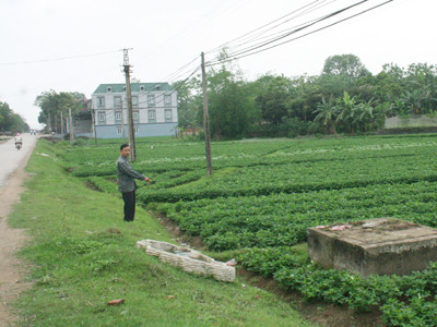 Khu đất ven tỉnh lộ 296 có nhiều sổ đỏ cùng lúc