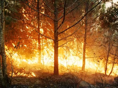 700 người vật lộn giữa biển lửa Bắc Biển Hồ