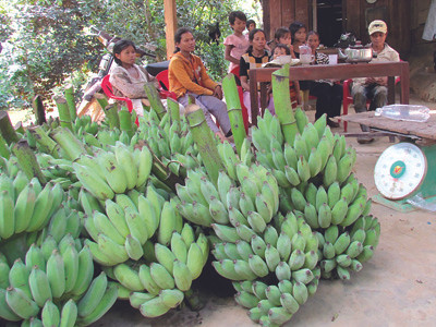 Được chuối, đuối ta-luy