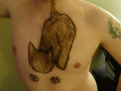 Bộ lông ngực hình con mèo