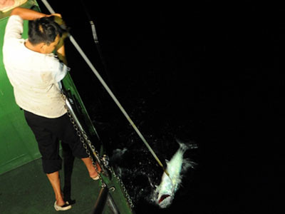 Câu cá đêm tại Trường Sa