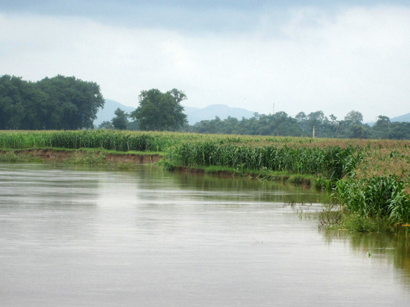 Sạt lở đê sông Mã