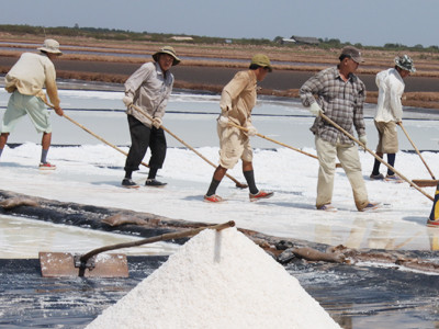 Vụ muối trước, Bạc Liêu vẫn còn tồn đọng 80.000 tấn muối