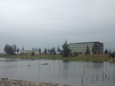 Khi doanh nghiệp gục ngã