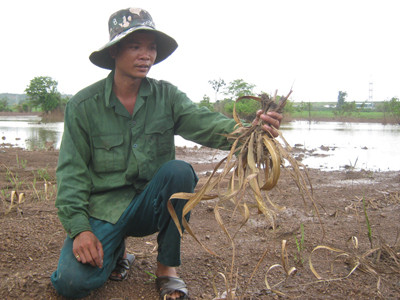 Thiệt hại nặng vì thủy điện Sêrêpốk 4A