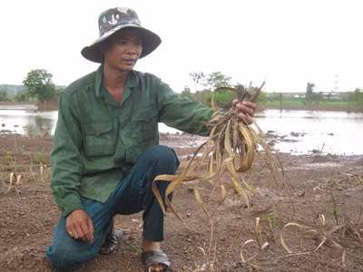 Thiệt hại nặng vì thủy điện Sêrêpốk 4A