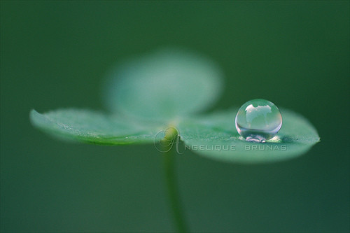 Chân lý diệt khổ