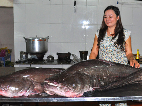 Câu được nhiều cá leo khổng lồ trên sông Sêrêpôk