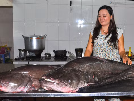 Câu được nhiều cá leo khổng lồ trên sông Sêrêpôk