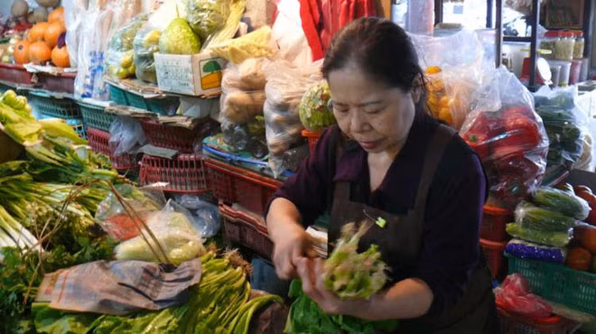 Người bán rau đoạt giải “Nobel châu Á”