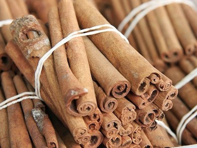 'Thiện trị giả, trị bì mao' - Đẳng cấp thầy thuốc giỏi