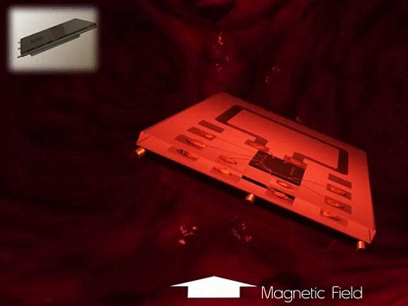 Robot bơi trong mạch máu