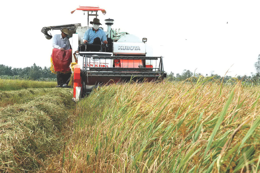Hợp tác chớp thời cơ