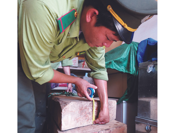 Những dấu hiệu bất thường vụ cây huê nghìn tỷ