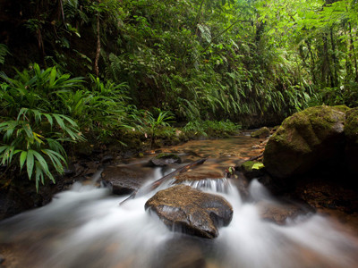 Bảo tồn thiên nhiên hoang dã... bằng ảnh