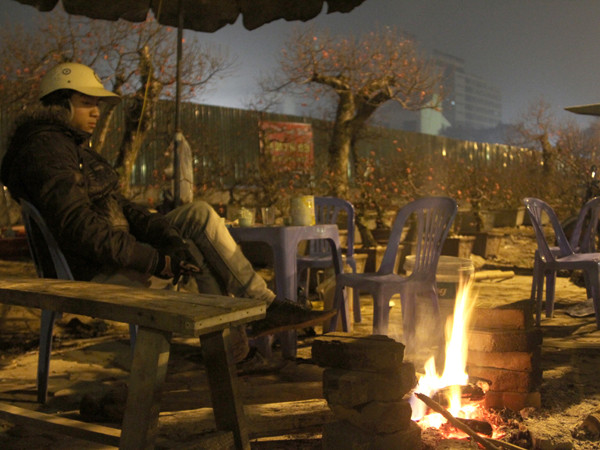 Trắng đêm trông quất canh đào