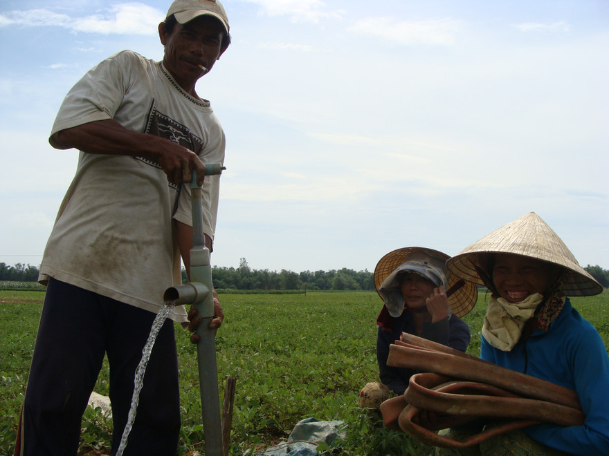 Hương dó bầu xứ Quảng… bay tận trời Á, Phi!