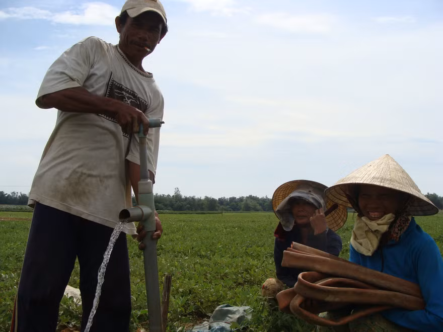 Hương dó bầu xứ Quảng… bay tận trời Á, Phi!