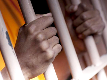 Bắt giam Giám đốc chuyên lừa đảo