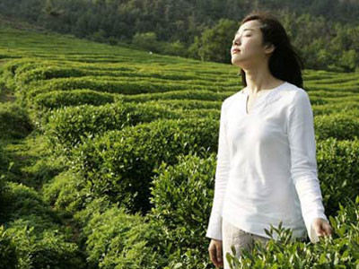 Độc chiêu’ giảm cân từ thảo dược thiên nhiên