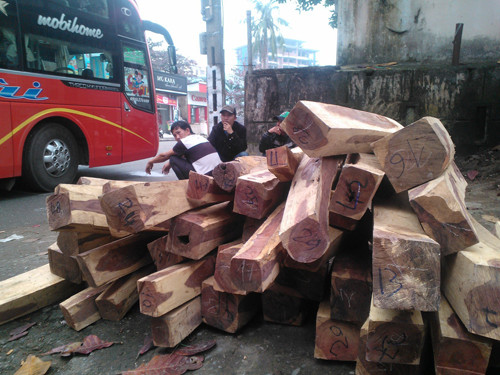 Phát hiện 2 tấn gỗ trắc 'đi' xe giường nằm