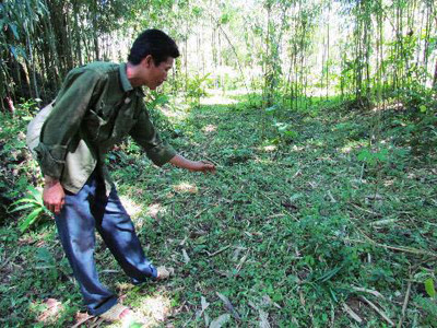 Câu cua trinh nữ ở Hòa Bình