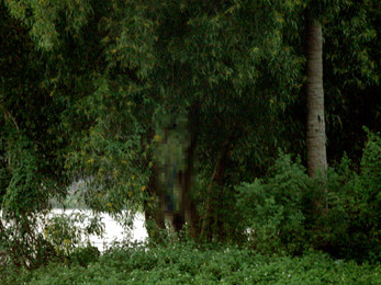 Phát hiện thi thể cô gái không mặc áo treo trên cây