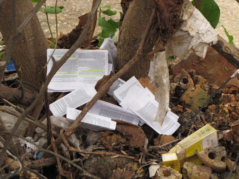 Vĩnh Phúc: Phao thi trắng …vườn trường