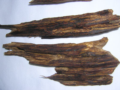 Kỳ nam. Ảnh minh họa