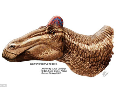 Khủng long có họ với... gà?