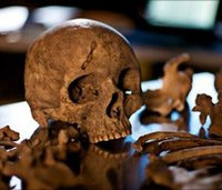 Phát hiện di chỉ khảo cổ người La Mã