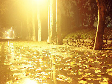 Ô nhiễm ánh sáng đối với sức khỏe con người