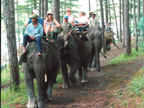 Khám phá và trải nghiệm với đại ngàn Tây Nguyên