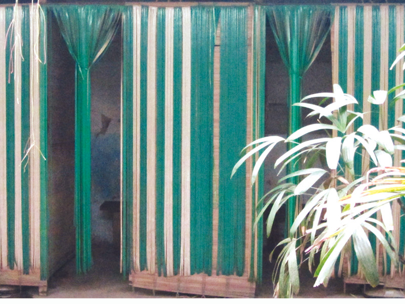 Dãy “cà phê chuồng” trong một ngõ nhỏ trên phố Đội Cấn Ảnh: Linh Sim