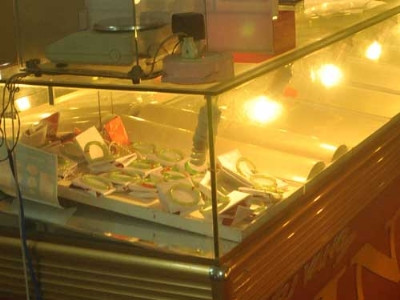 Tạm giữ 66 cây vàng và 800 triệu đồng