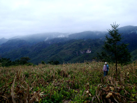 Ảnh chỉ có tính minh họa