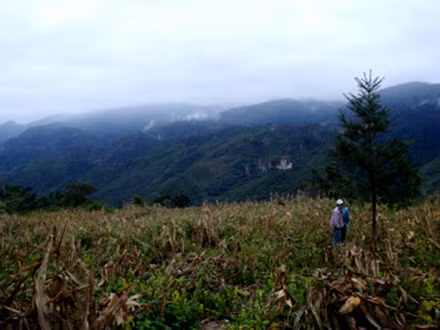 Ảnh chỉ có tính minh họa