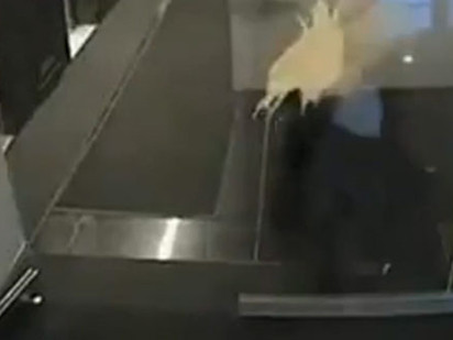 Những tai nạn hài hước vì cửa kính trong