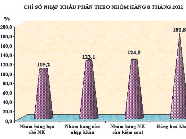 Lo nhập siêu cuối năm tăng mạnh