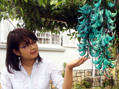 Loài hoa mang tên chúa sơn lâm