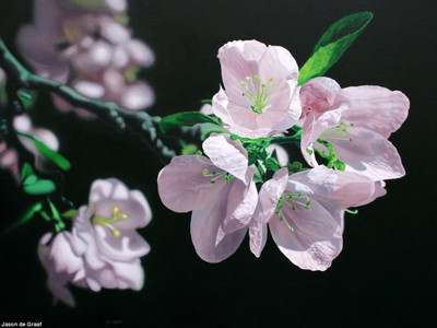 Ngỡ ngàng với tranh siêu thực